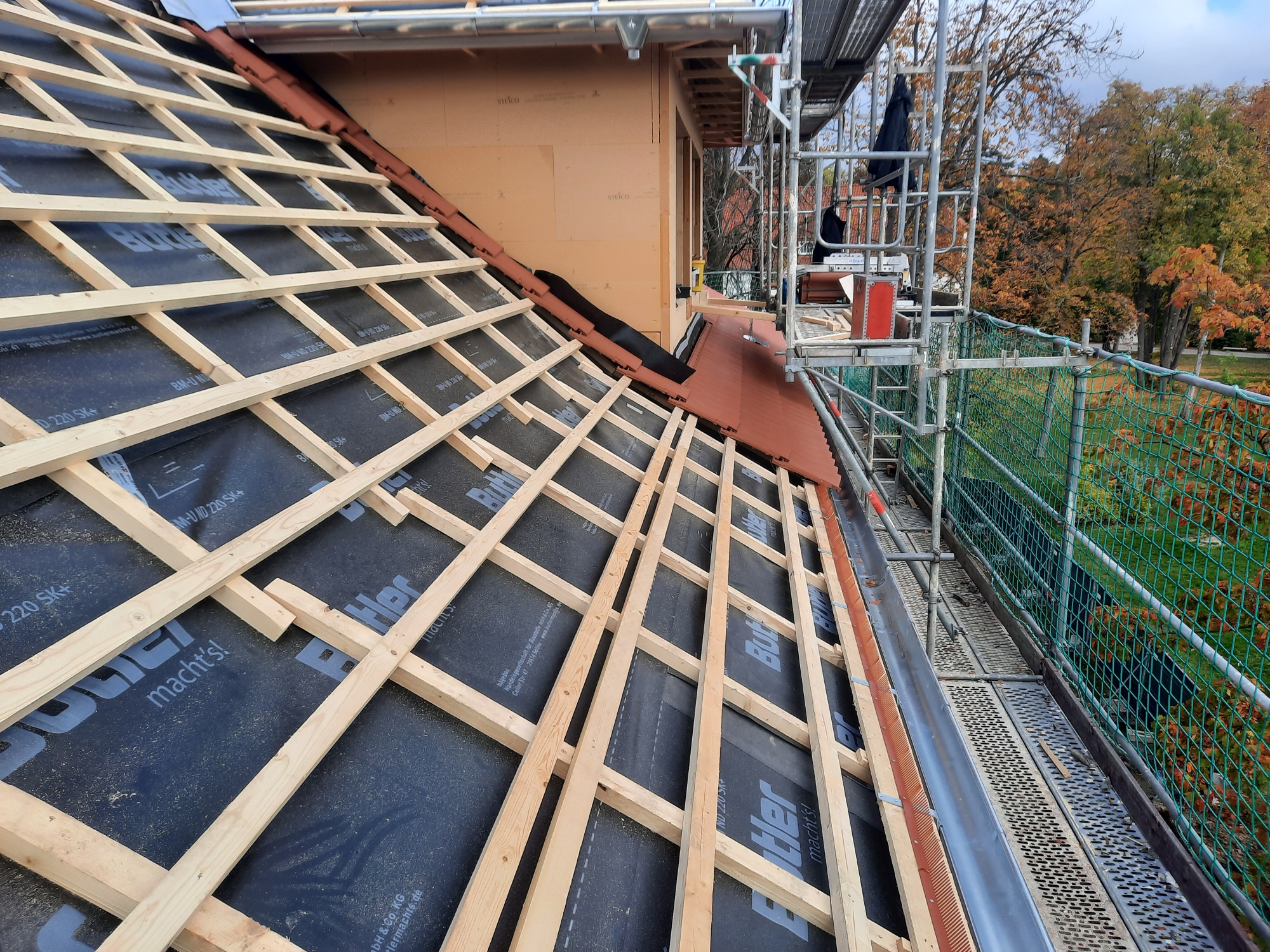 20221014_141557_resized