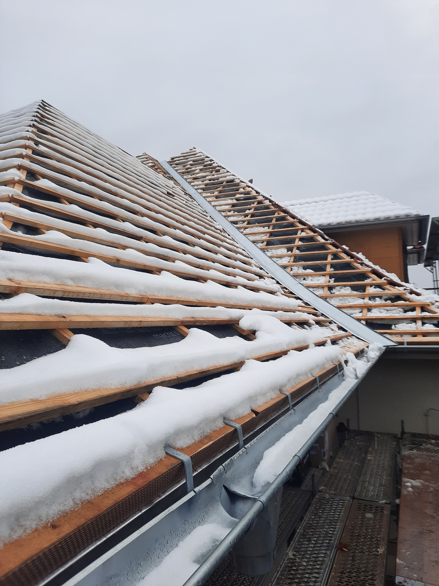 20221206_121441_resized