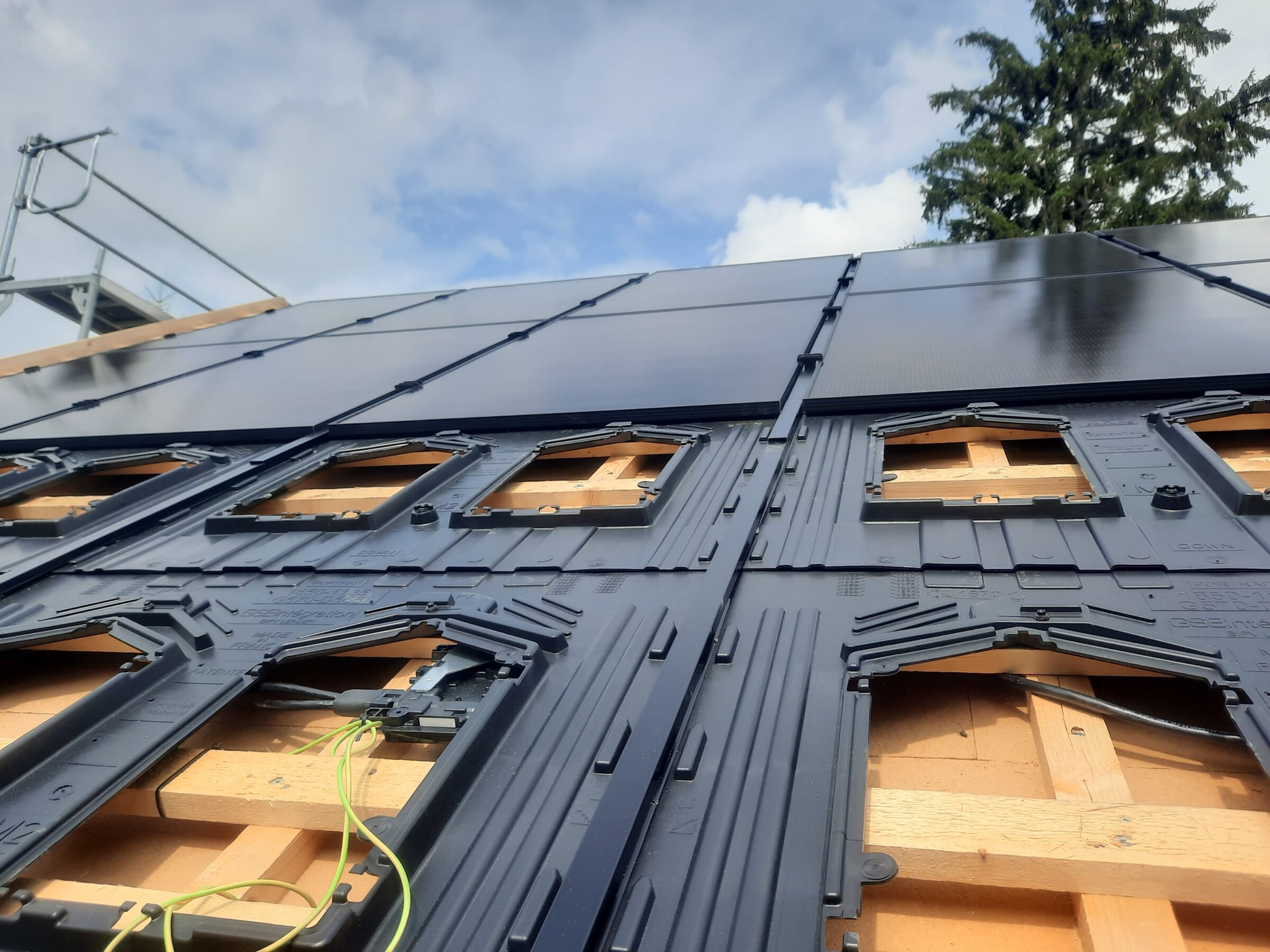 20240808_115657_resized