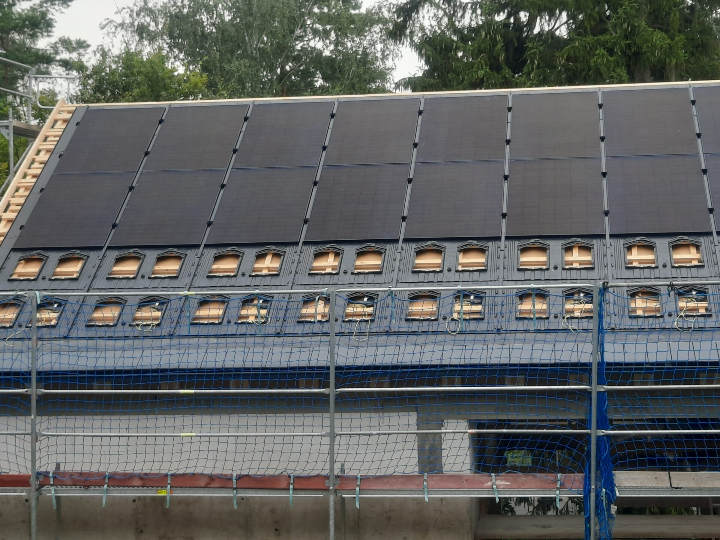 20240808_122952_resized