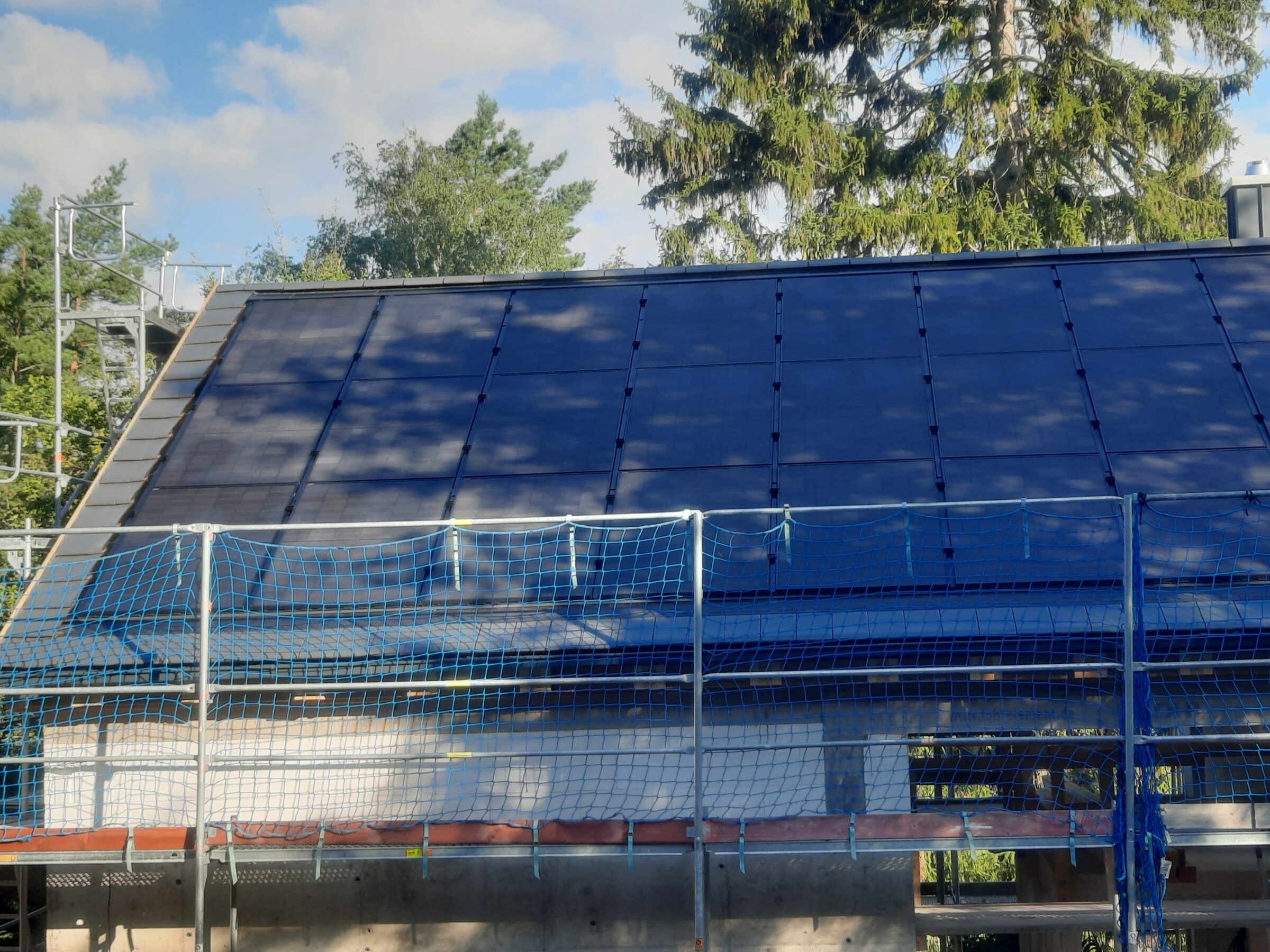 20240816_083552_resized