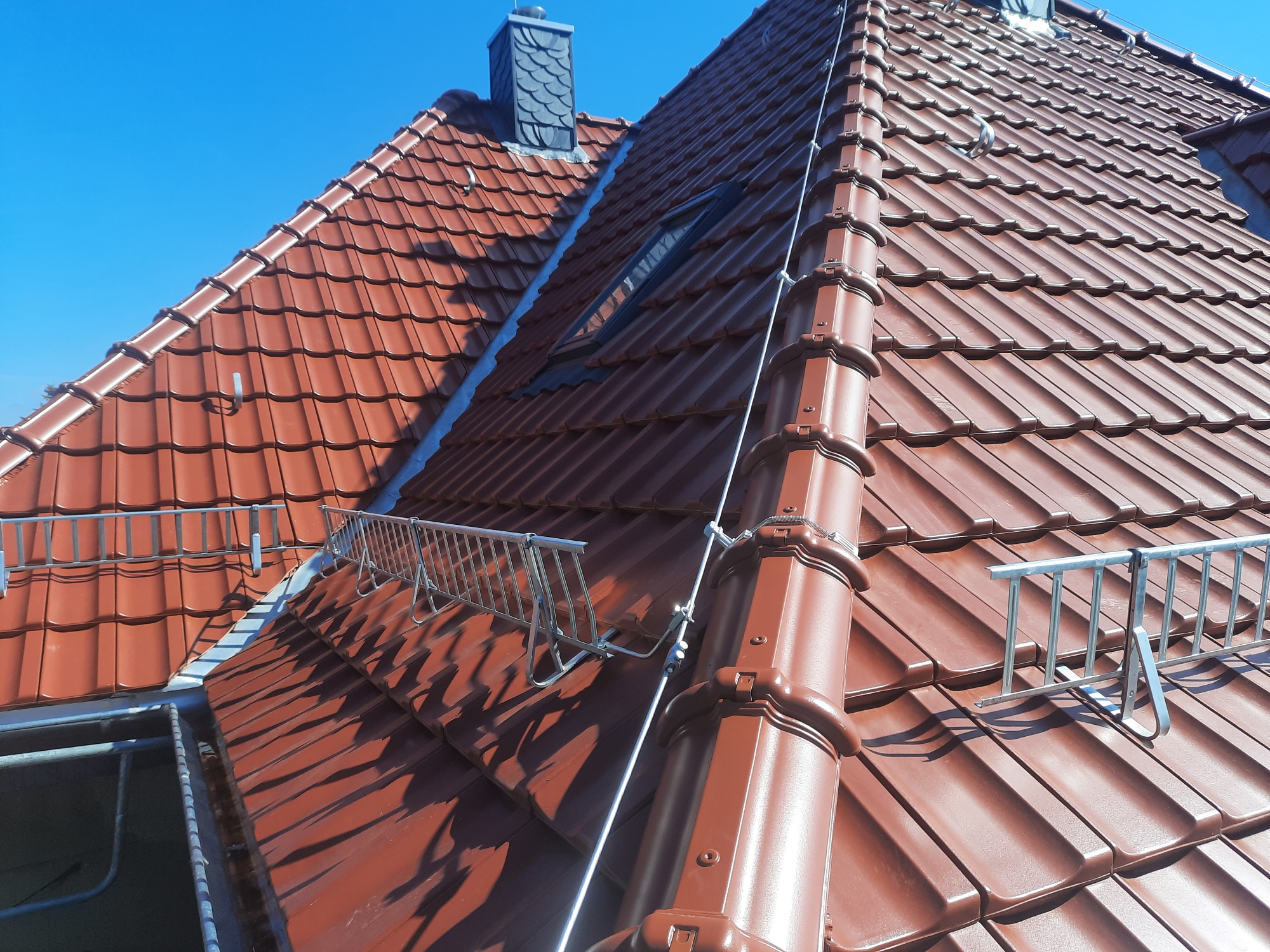 20250327_121930_resized_1