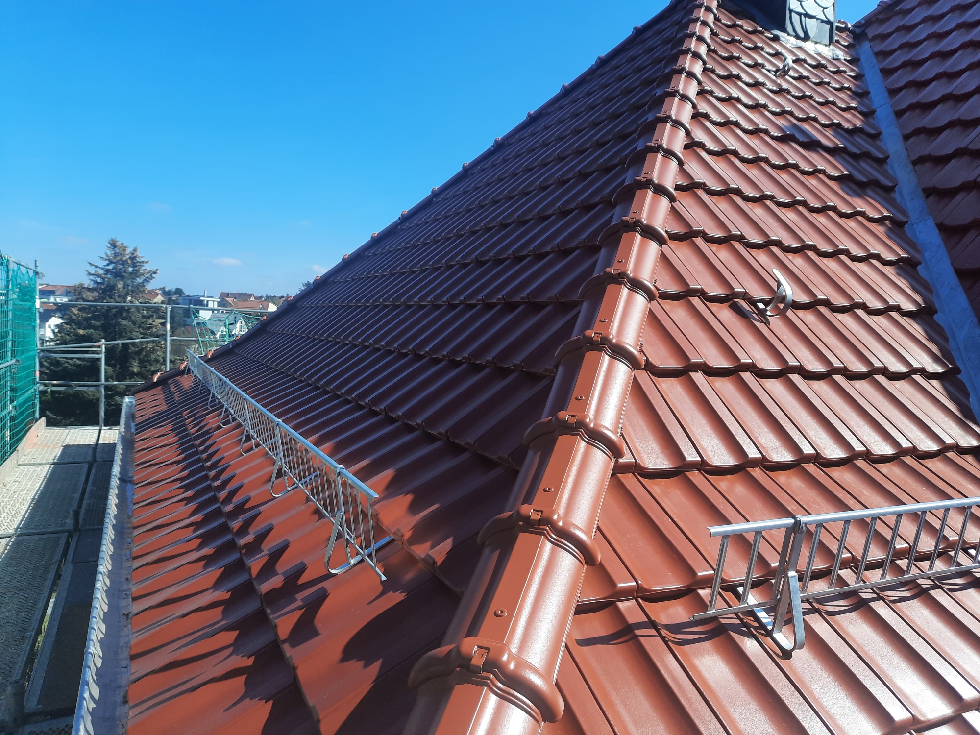 20250327_121947_resized_1